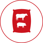icon-feed
